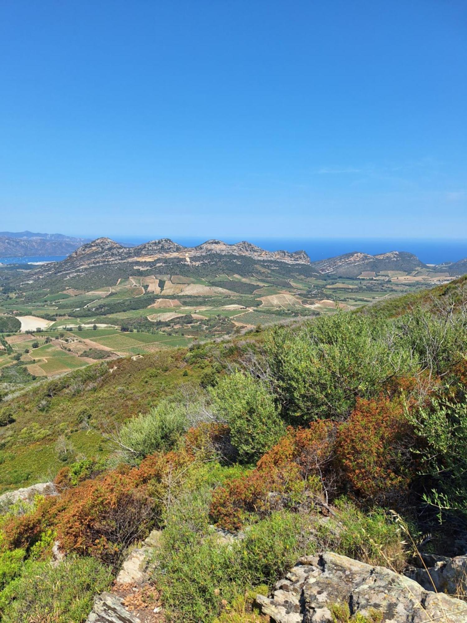 Le Clos Osteria Barbaggio Экстерьер фото